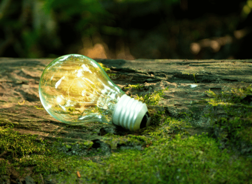 Symbolbild: Glühbirne im Wald als Zeichen für nachhaltige Ideen im zentroom Coworking Space