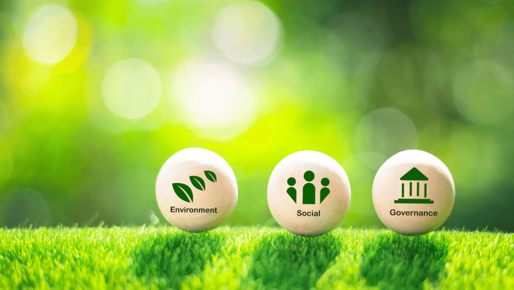 Drei Bälle mit den Begriffen Environment, Social und Governance auf grünem Rasen als Symbolbild für zentrooms Nachhaltigkeitsstrategie.